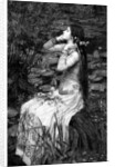 Ophelia by James Dobie