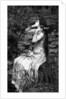 Ophelia by James Dobie
