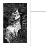 Ophelia by James Dobie