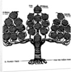 A Family Tree for the Treen Family by Edwin Foley