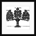 A Family Tree for the Treen Family by Edwin Foley