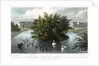 Island on the lake and Part of Cornwall and Clarence Terraces, Regent's Park, London by William Tombleson