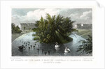 Island on the lake and Part of Cornwall and Clarence Terraces, Regent's Park, London by William Tombleson