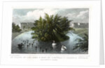 Island on the lake and Part of Cornwall and Clarence Terraces, Regent's Park, London by William Tombleson