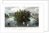 Island on the lake and Part of Cornwall and Clarence Terraces, Regent's Park, London by William Tombleson