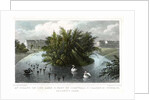 Island on the lake and Part of Cornwall and Clarence Terraces, Regent's Park, London by William Tombleson