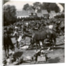 Troops feeding their horses and resting on the march, World War I by Realistic Travels Publishers