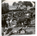 Troops feeding their horses and resting on the march, World War I by Realistic Travels Publishers
