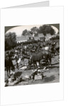 Troops feeding their horses and resting on the march, World War I by Realistic Travels Publishers