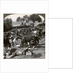 Troops feeding their horses and resting on the march, World War I by Realistic Travels Publishers