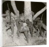 Soldiers leaving a trench for a night raid at Messines, Belgium, World War I by Realistic Travels Publishers