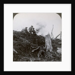 Advance across 'No Man's Land' to assault the German lines, World War I by Realistic Travels Publishers