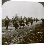 Prussians captured by 'Old Contemptibles' in the advance at Pozieres, World War I by Realistic Travels Publishers