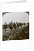 Prussians captured by 'Old Contemptibles' in the advance at Pozieres, World War I by Realistic Travels Publishers