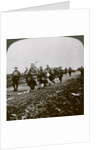 Prussians captured by 'Old Contemptibles' in the advance at Pozieres, World War I by Realistic Travels Publishers