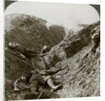 Soldiers of the 5th Army killed during the German offensive of 1918, Albert, France by Realistic Travels Publishers