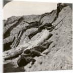 British and German dead near the Hohenzollern Redoubt, Lens, France, World War I by Realistic Travels Publishers