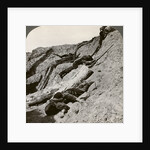 British and German dead near the Hohenzollern Redoubt, Lens, France, World War I by Realistic Travels Publishers