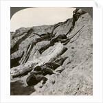 British and German dead near the Hohenzollern Redoubt, Lens, France, World War I by Realistic Travels Publishers