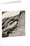 British and German dead near the Hohenzollern Redoubt, Lens, France, World War I by Realistic Travels Publishers