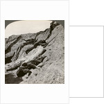 British and German dead near the Hohenzollern Redoubt, Lens, France, World War I by Realistic Travels Publishers