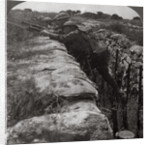 Canadians leaving their trenches to rush a German position, World War I by Realistic Travels Publishers