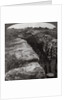 Canadians leaving their trenches to rush a German position, World War I by Realistic Travels Publishers