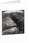 Canadians leaving their trenches to rush a German position, World War I by Realistic Travels Publishers