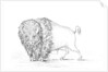 Buffalo by Myers and Co