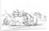 Buffalo attacking a cowboy on a horse by Myers and Co