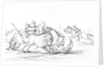 Buffalo attacking a cowboy on a horse by Myers and Co