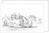 Buffalo attacking a cowboy on a horse by Myers and Co