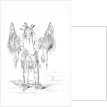 Portrait of a Native American man by Myers and Co