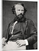 Arsene Houssaye, French novelist and poet by Anonymous