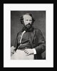 Arsene Houssaye, French novelist and poet by Anonymous