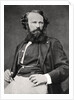 Arsene Houssaye, French novelist and poet by Anonymous