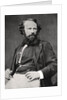 Arsene Houssaye, French novelist and poet by Anonymous