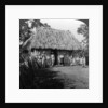 A home in the interior of the island of Cuba by HC White