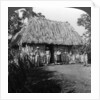 A home in the interior of the island of Cuba by HC White