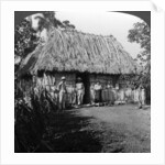 A home in the interior of the island of Cuba by HC White