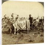 Silver cannon of the Maharaja of Baroda, Delhi, India by Underwood & Underwood