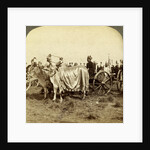 Silver cannon of the Maharaja of Baroda, Delhi, India by Underwood & Underwood