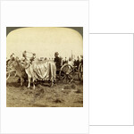 Silver cannon of the Maharaja of Baroda, Delhi, India by Underwood & Underwood