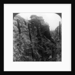 Canadian infantry in the trenches, World War I by Realistic Travels Publishers