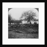 First World War battlefield scene by Realistic Travels Publishers