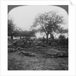 First World War battlefield scene by Realistic Travels Publishers