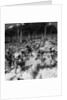 Soldiers digging trenches, World War I by Realistic Travels Publishers