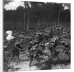 Captured trenches strengthened to withstand counter-attack, World War I by Realistic Travels Publishers