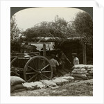 Artillery position, World War I by Realistic Travels Publishers