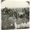 Removing a field gun from a flooded position, World War I by Realistic Travels Publishers